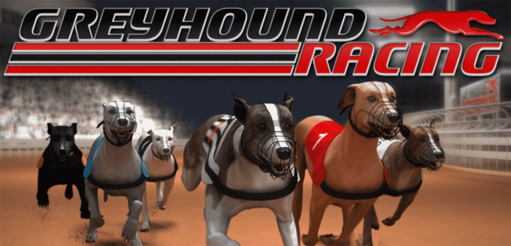 Dog Racing game - dog games 2.0 Free Download